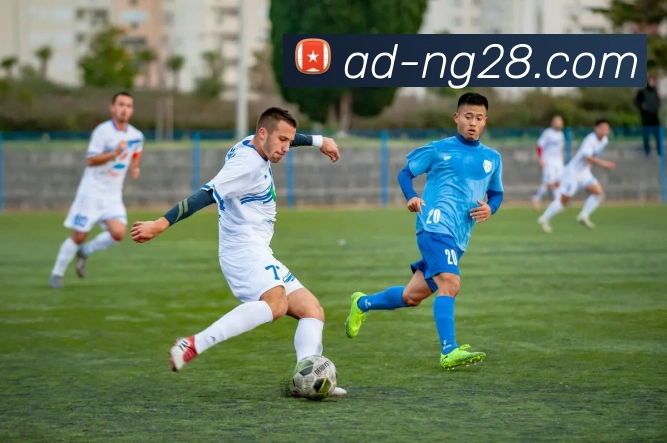 App Interface Preview